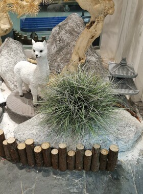 仿真草丛水草植物工程景观地面装饰绿植园艺室外造景摆件菖蒲假草