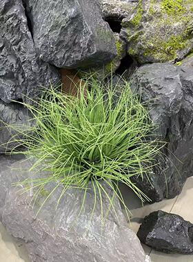 仿真小草菖蒲草草团假花软装