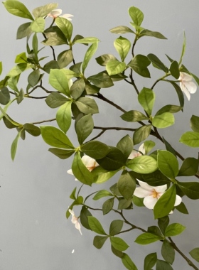 仿真绿植栀子叶花家居客厅软装饰工程欧式婚庆摆件布景插花假树叶
