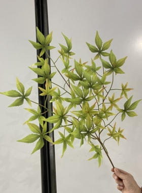 仿真红枫叶五角枫七角枫鸡爪槭3D打印园林绿化做树造景叶摄影道具