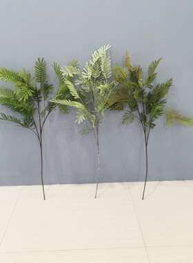 厂家批发绿植蕨类仿真含羞草 合欢草 婚庆布置 软装设计 影棚造景