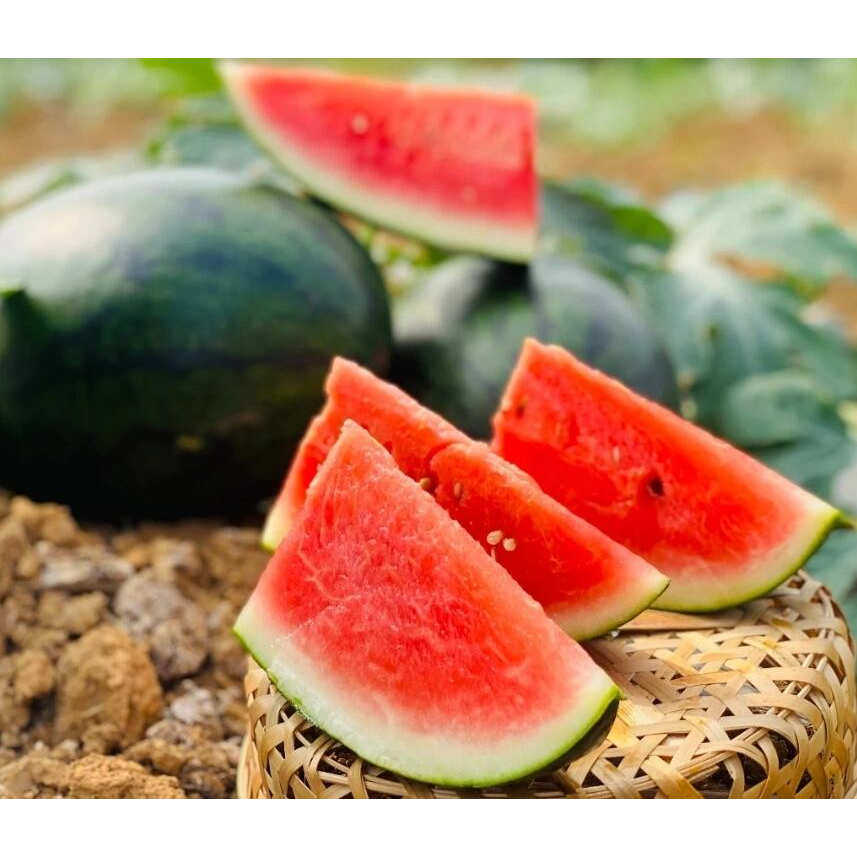 应季水果应季西瓜黑美人西瓜3-9斤新鲜发货南宁仓,淘宝优惠券,粉丝福利购,淘宝优惠卷
