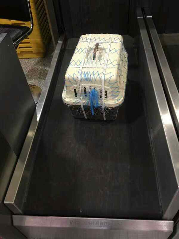 商品缩略图 2