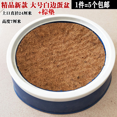 信鸽鸽子用品用具 鸽子窝脚环 塑料圆形漏孔巢盆草窝塑料蛋盆包邮 - 图2