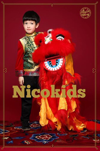 包邮儿童舞狮玩具塑料版耐摔醒狮羊毛狮头幼儿舞台表演道具狮鼓 - 图3