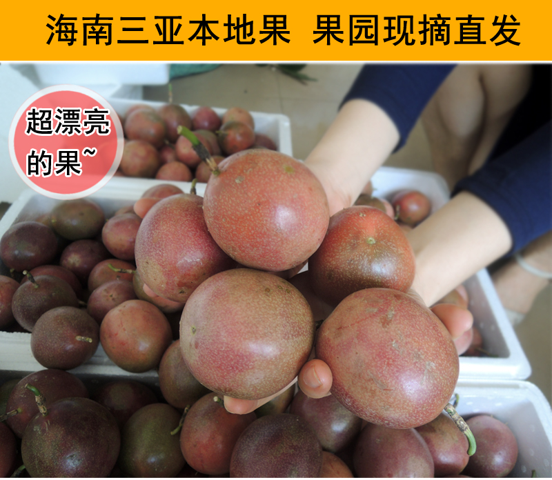 海南新鲜当季奶茶店孕妇热带百香果图片_2