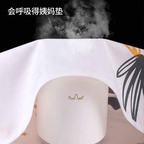 月经垫生理期防水可洗大姨妈垫子专用床上防漏隔尿例假小床垫秋冬 - 图2