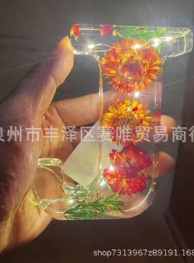 现货爆款Floral Resin Night Light干花真花创意大字母夜灯