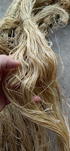 麻，苎麻，原料 - 图0