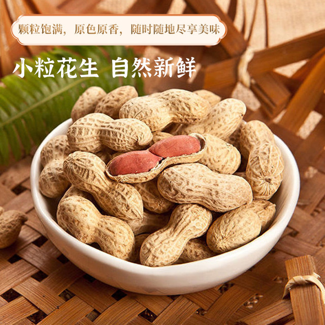 Childhood Original Peanut Big Packet with Shell as Appetizer