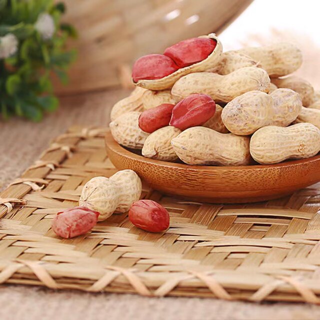 Childhood Notes Changbai Mountain Red Belt Shell Original Peanuts