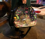 Капсула для выхода на улицу, портативная прозрачная космическая сумка через плечо