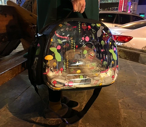 Капсула для выхода на улицу, портативная прозрачная космическая сумка через плечо