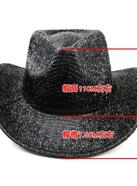舞台表演街头秋冬礼帽