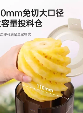 BRUNO榨汁机慢磨家用渣汁分离