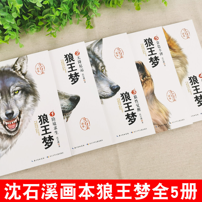 狼王梦沈石溪正版全套5册动物小说全集画本系列小学生三年级四五六年级漫画注音版小学课外阅读书籍文学读物儿童经典文学故事书籍_虎窝淘