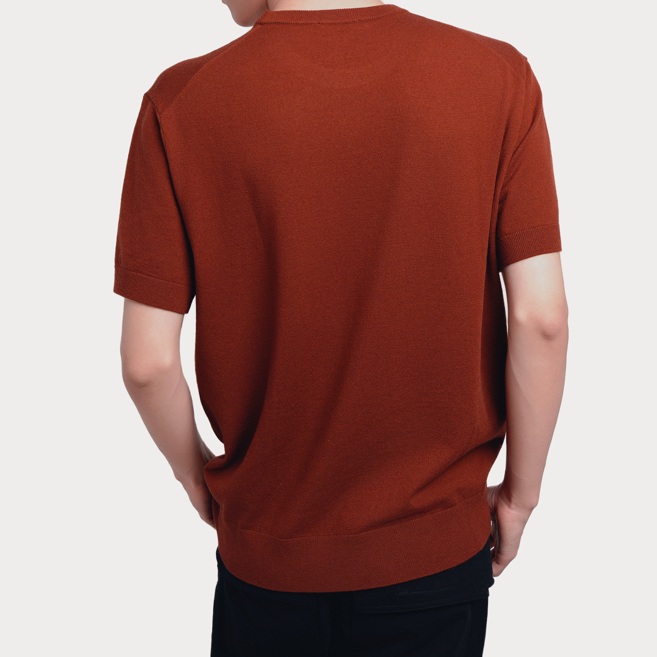 SEASONMARK新款砖红色绵羊毛打底衫短袖休闲时尚圆领情侣T恤男款 - 图1