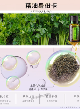 带码发货芹菜籽单方精油15ml