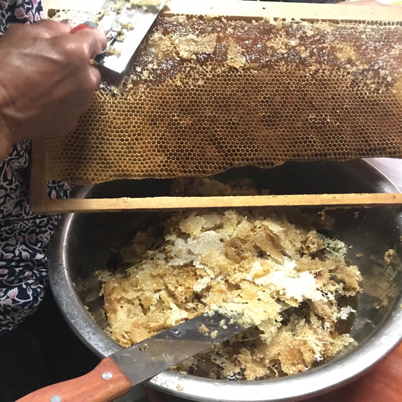 百里山野生土蜂蜜 纯正天然农家自产深山百香果百花蜜峰蜜1斤孕妇