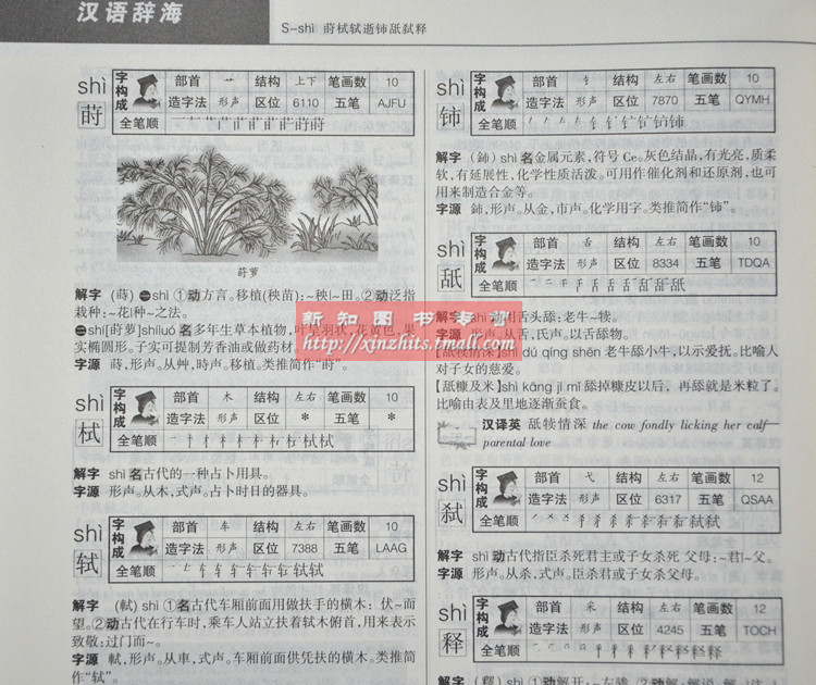 新编汉语辞海 笔顺/结构/五笔/解字/字源/汉译英16开精装上下卷 汉语工具书 正版书 区域包邮
