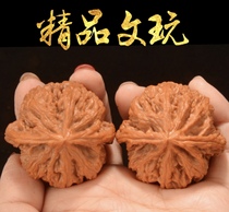 The Straight Sowing Room specializes in four buildings White Lion Chicken Hearts and Playing Walnuts