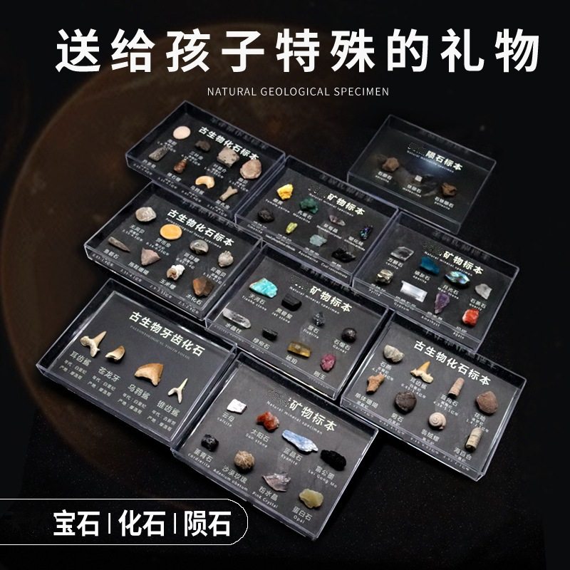 化石矿石陨石牙齿植物狼鳍鱼昆虫古生物化石科普教学标本收藏摆件,淘宝优惠券,粉丝福利购,淘宝优惠卷