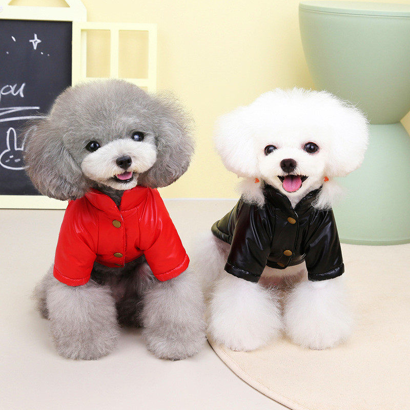 泰迪小型犬冬季保暖外出防水棉衣夹克22新款宠物狗狗衣服,淘宝优惠券,粉丝福利购,淘宝优惠卷
