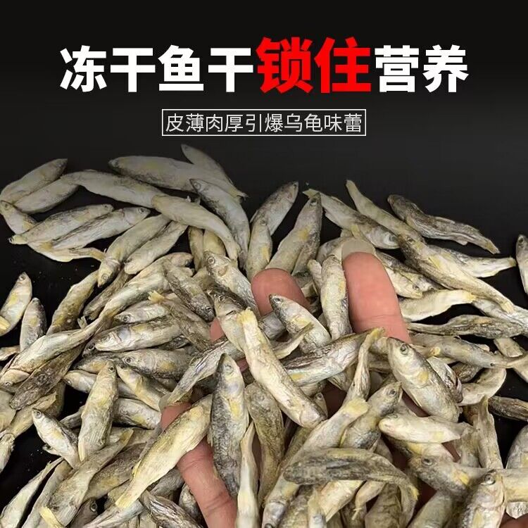 乌龟饲料虾干淡水无盐水龟巴西鳄龟食火焰龟粮高钙虾干草龟通用粮 - 图1