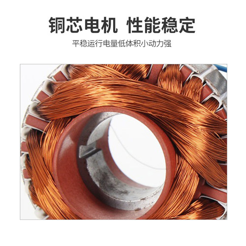 12v雨露水泵电动喷雾器隔膜泵微型洗车水泵家用220v 高压自吸水泵 - 图0