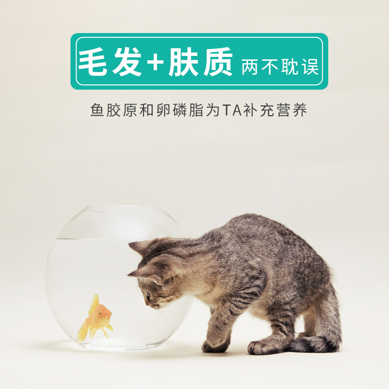 乐施菩施康宠物狗猫咪磷脂美毛膏30ml靓丽毛发健康皮肤滋养毛发 - 图1