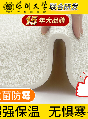 15年老品牌-超高品质保温墙贴