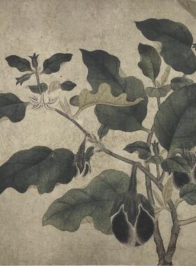 元钱选瓜茄图卷纸本高清宣纸微喷复q制花鸟蔬果国画
