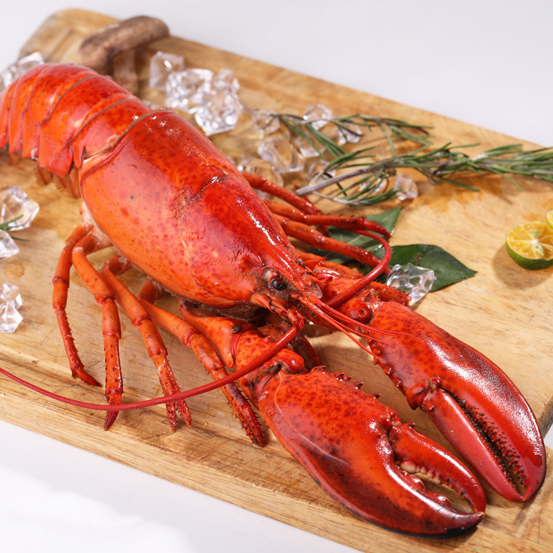 沃派现货年货礼盒海鲜过年大礼包 沃派生鲜其它