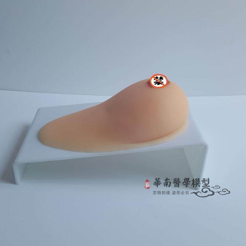 家政月嫂医学女性乳房带乳晕催乳师培训I道具哺乳喂养教学教具模,淘宝优惠券,粉丝福利购,淘宝优惠卷