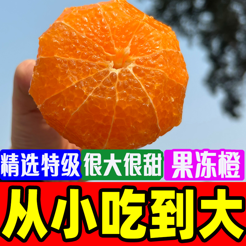 【爱媛38号果冻橙】正宗四川眉山爱媛果冻橙新鲜整箱包邮k - 图0