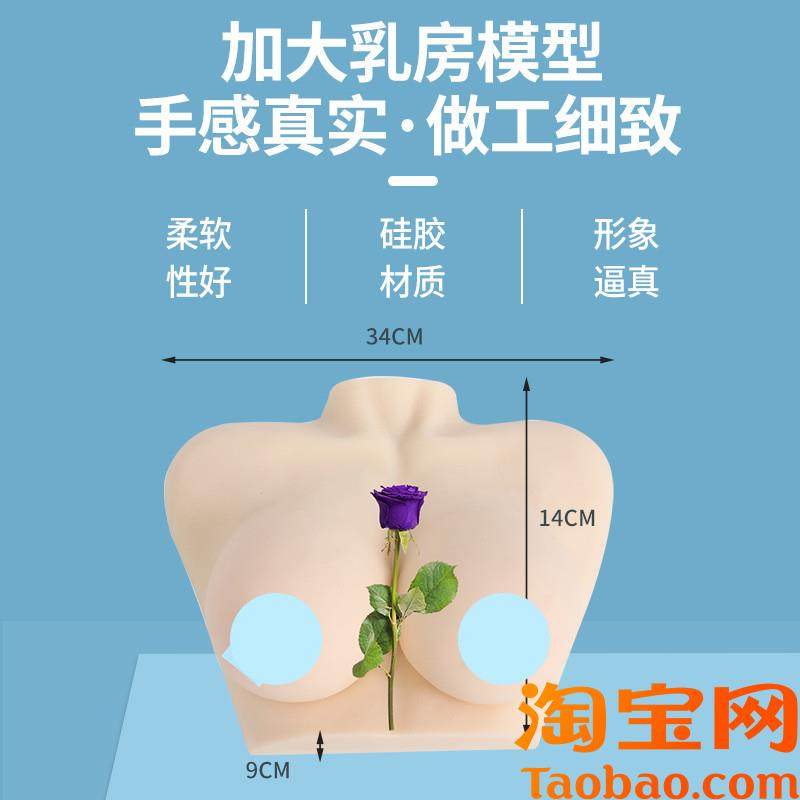 假乳义乳_女性i乳房模型_催乳师培训道具_哺乳教学模具催乳教育具,淘宝优惠券,粉丝福利购,淘宝优惠卷