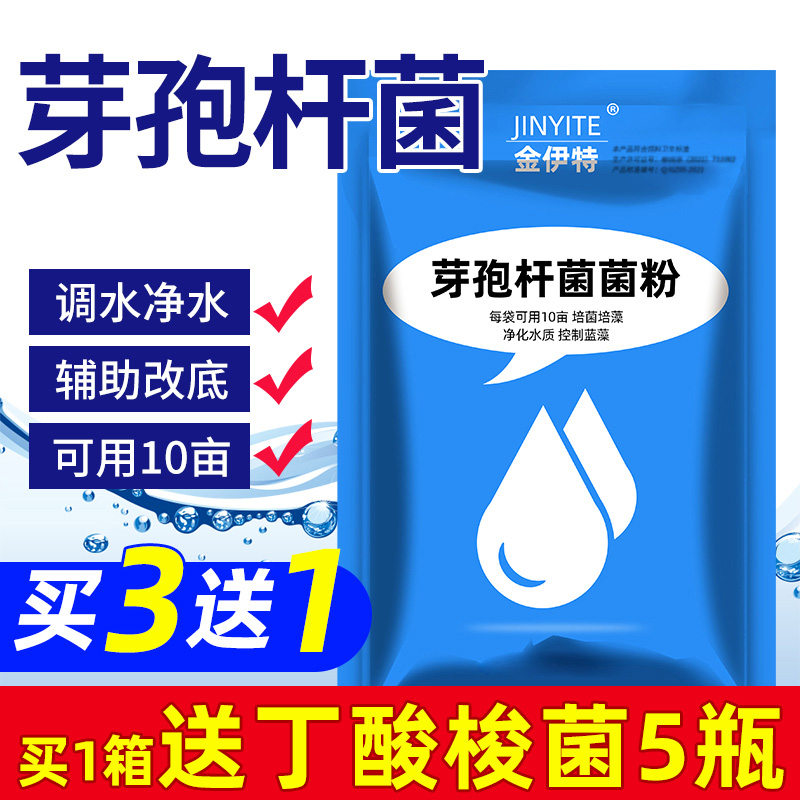 金伊特复合芽孢杆菌水产养殖净水枯草菌地衣降解磷钾残留改底菌种 - 图0