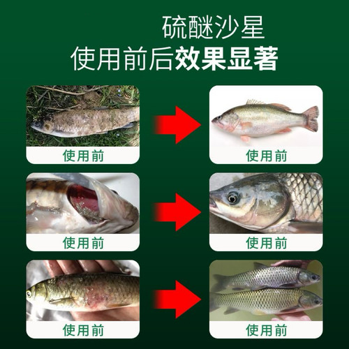 硫醚沙星水产养殖鱼塘水产养殖水酶白毛专用高浓度鱼塘专用 - 图1