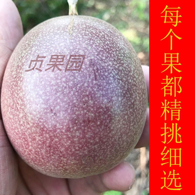 净果邮广西现摘新鲜百香果图片_1