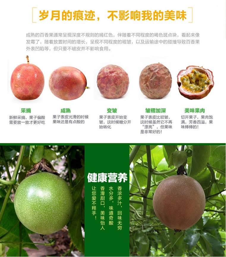 广西新鲜热带精装大红百香果图片_4