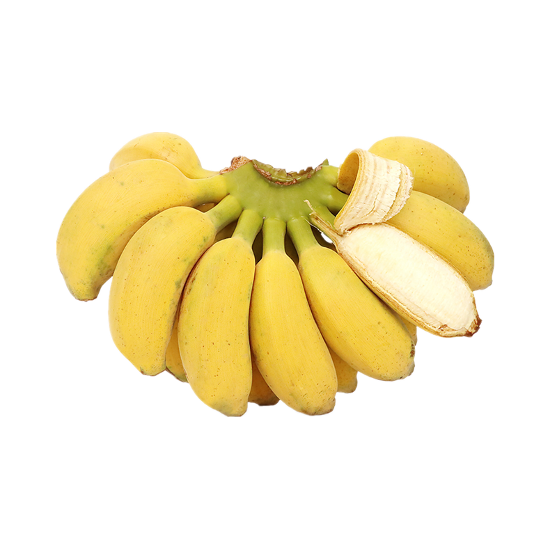 广西新鲜小米蕉带箱10斤香蕉芭蕉海南帝王蕉banana水果苹果粉蕉3-图3