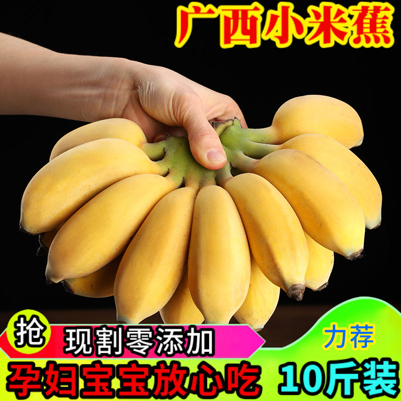广西新鲜小米蕉带箱10斤香蕉芭蕉海南帝王蕉banana水果苹果粉蕉3-图0