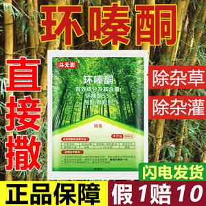 細節圖