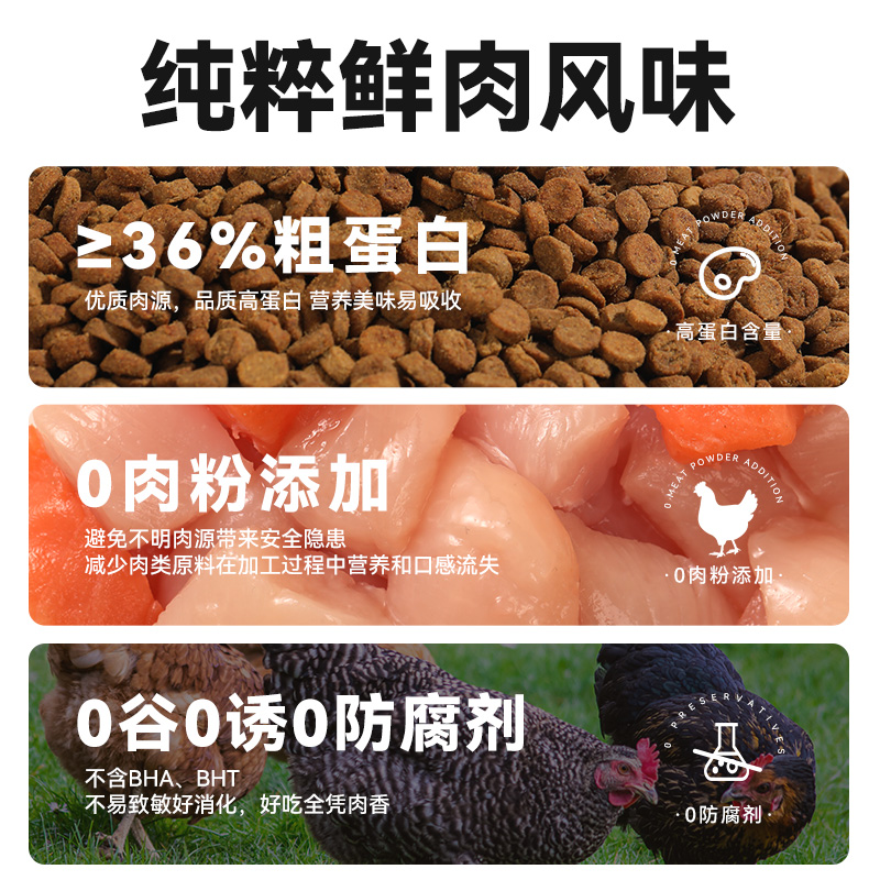 朗仕烘焙猫粮鲜肉无谷全价营养鲜乳鸽火鸡肉幼猫成猫粮通用试吃装 - 图0