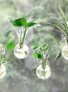 透明亚克力水培绿萝壁挂花瓶