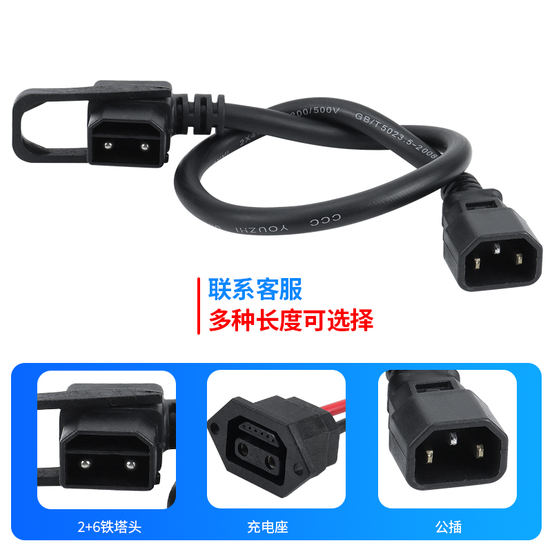 铁塔爱玛雅迪星恒锂电池电动车充电器锂电2+6输出电源线带拉环 - 图0