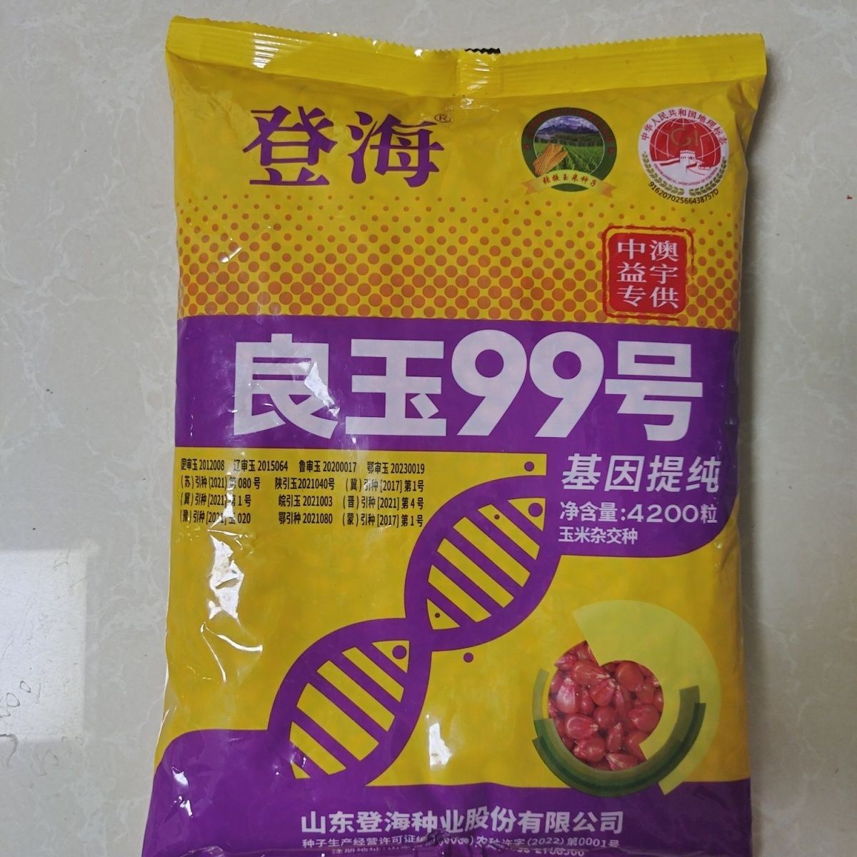 登海总部良玉99玉米种国审原装正品高产矮杆抗锈病抗倒抗旱高产-图0