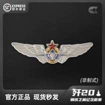 HK Aviation Industry Perimeter Ventron 20 Aircraft Steel Wing Commemorates Badge Military Zinc Alloy Chest Badge