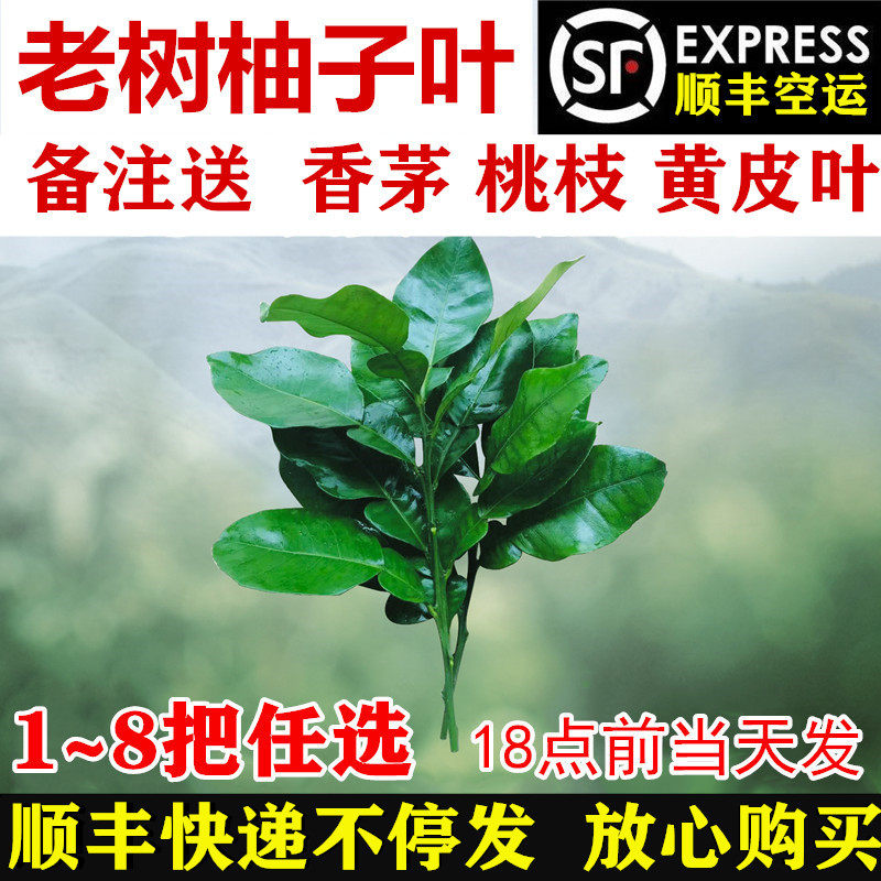 柚子叶新鲜碌柚叶艾草黄皮叶香茅桃枝 祈福乔迁新居去晦气转运_虎窝淘