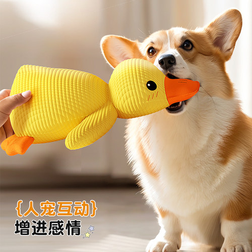 狗狗玩具宠物耐咬自嗨解闷发声神器柯基小狗犬毛绒小黄鸭磨牙用品 - 图1